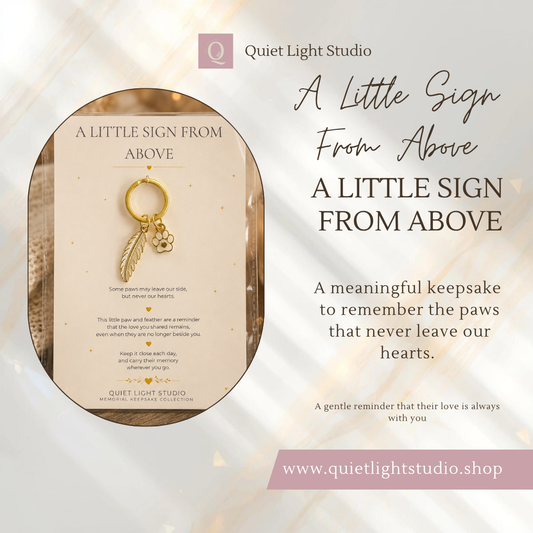 Pet Memorial Keyring | Paw & Feather | A Little Sign From Above
